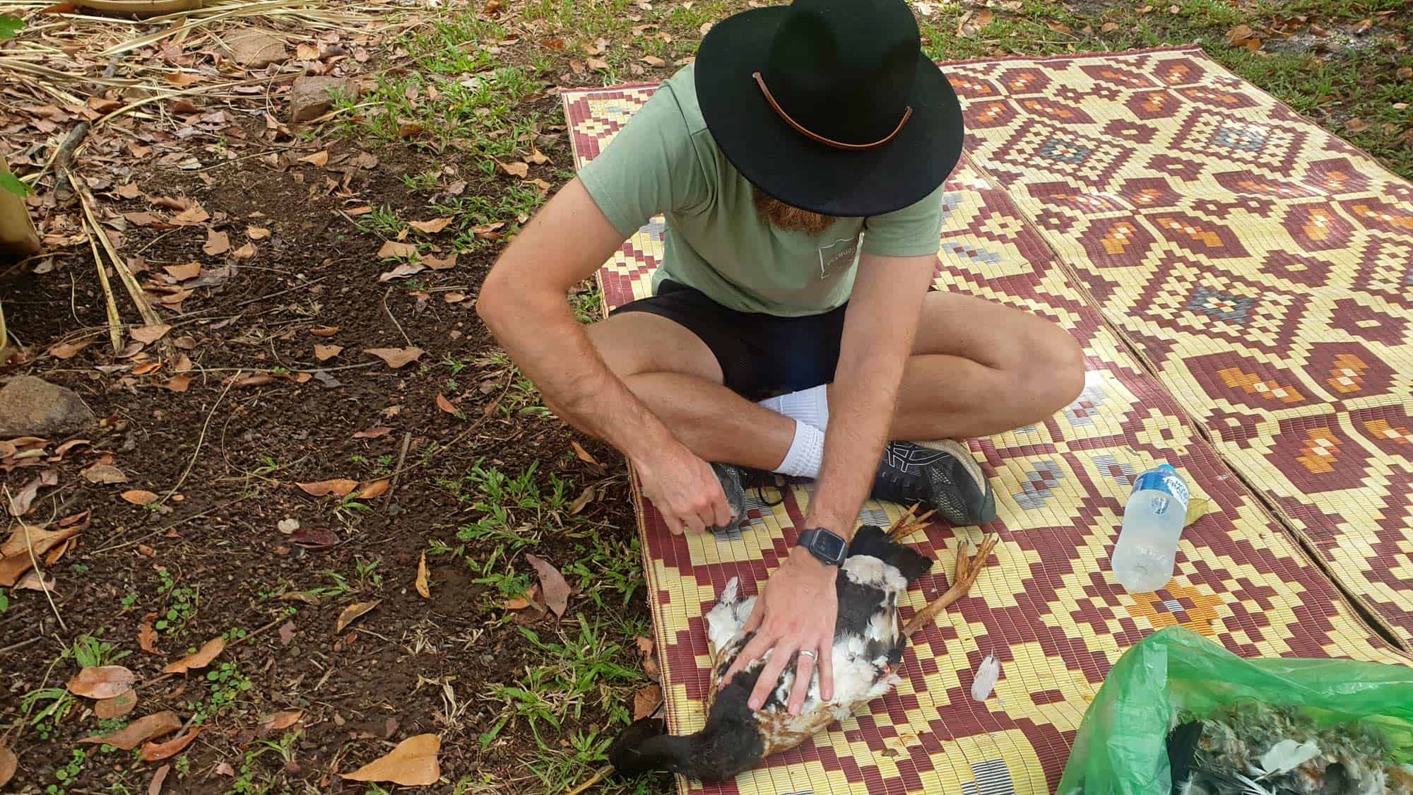 plucking-a-magpie-goose