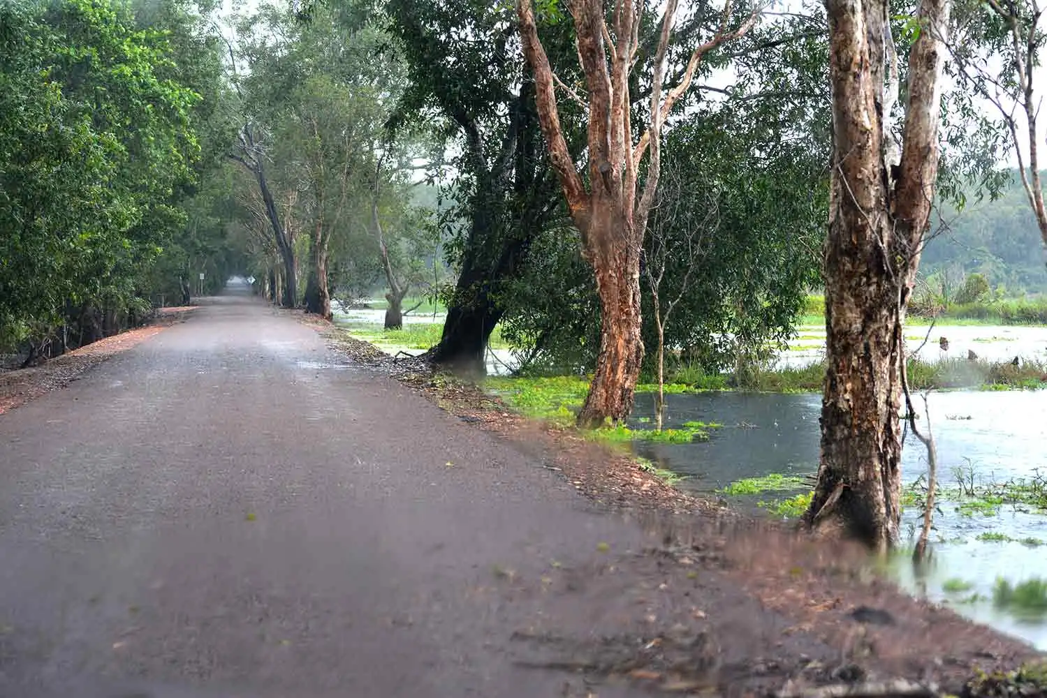 dam-wall-looking-back