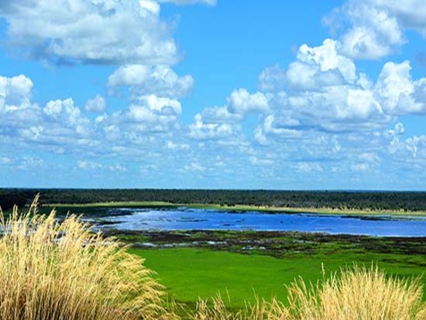 kakadu-floodplains-550 (1)