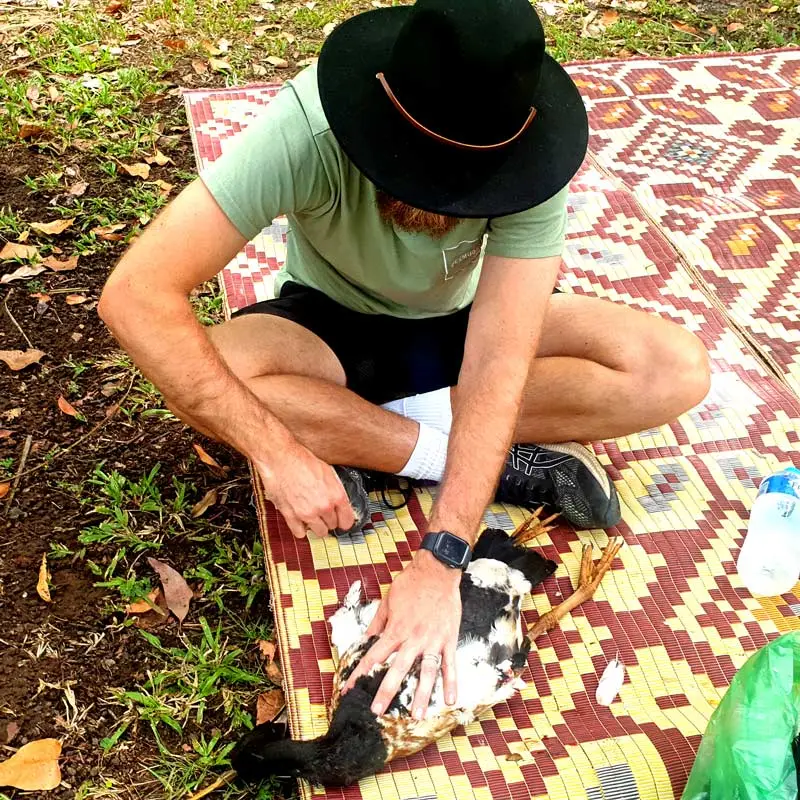 plucking-a-magpie-goose-square