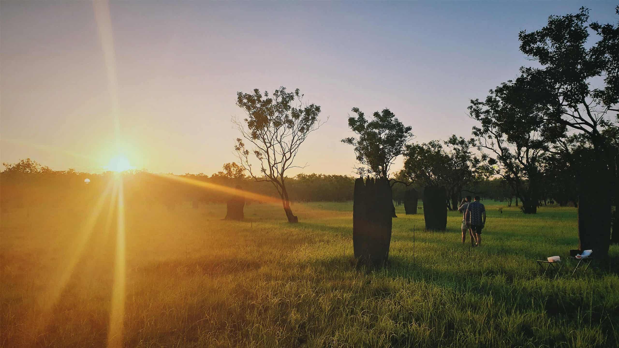 Giant termite mounds - Litchfield Park